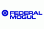 Federal-Mogul.4f6b04da06a0e.gif